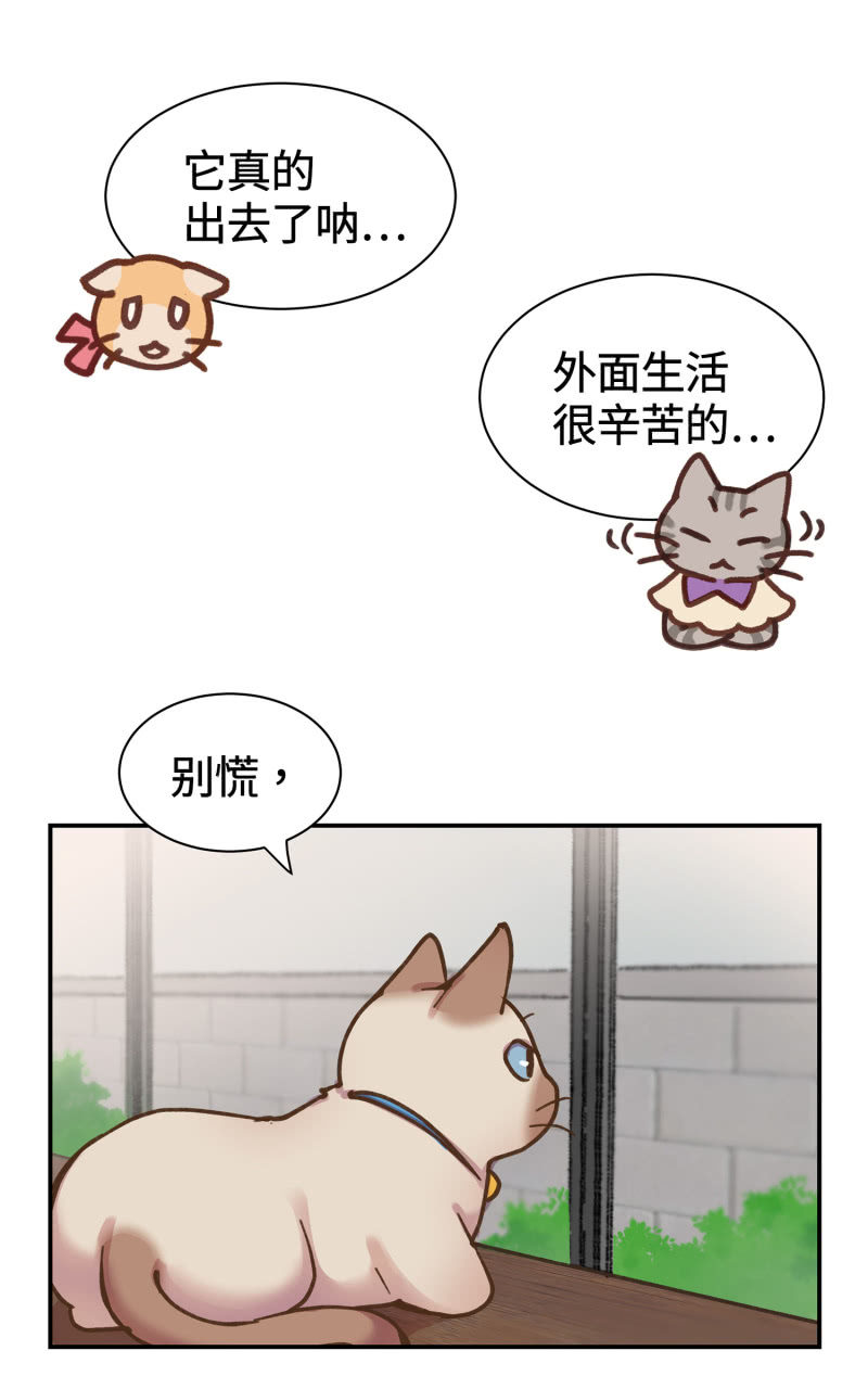 第38杯『小米米大冒险』-第44话