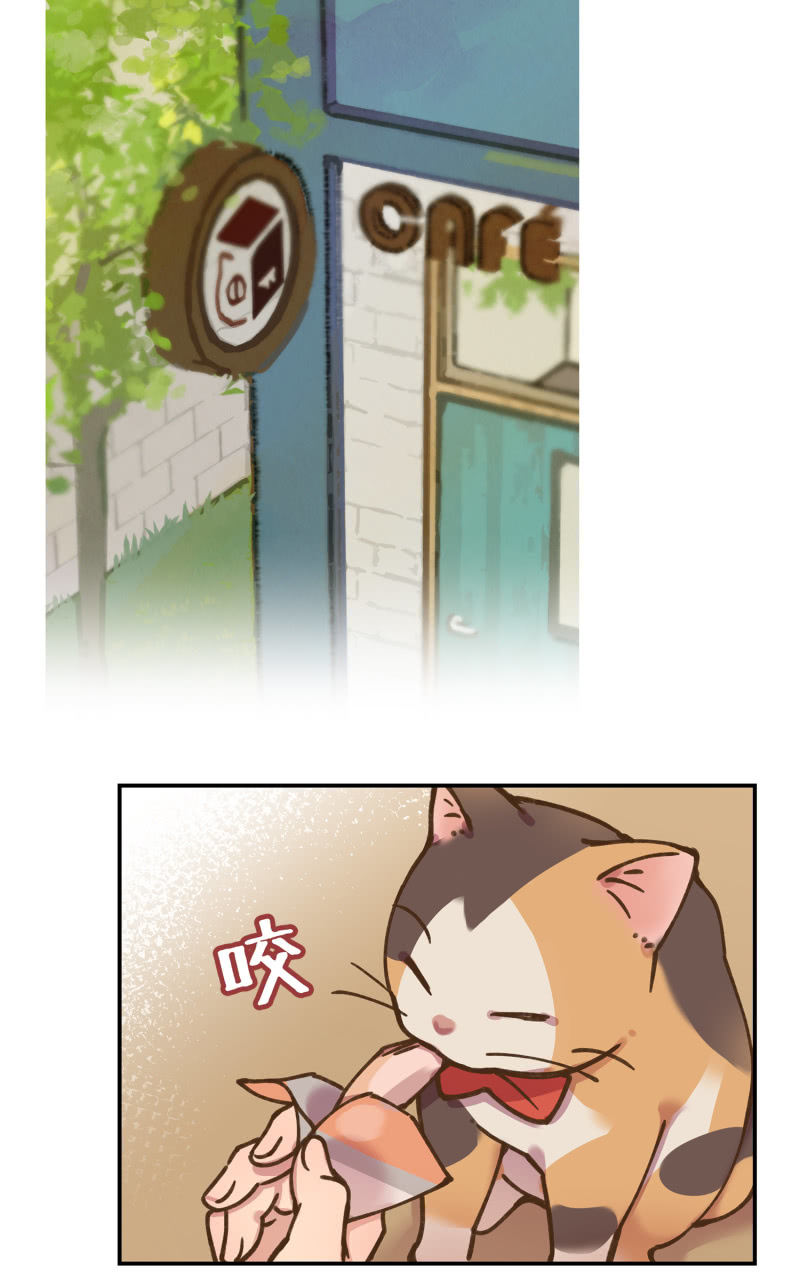 第38杯『小米米大冒险』-第44话