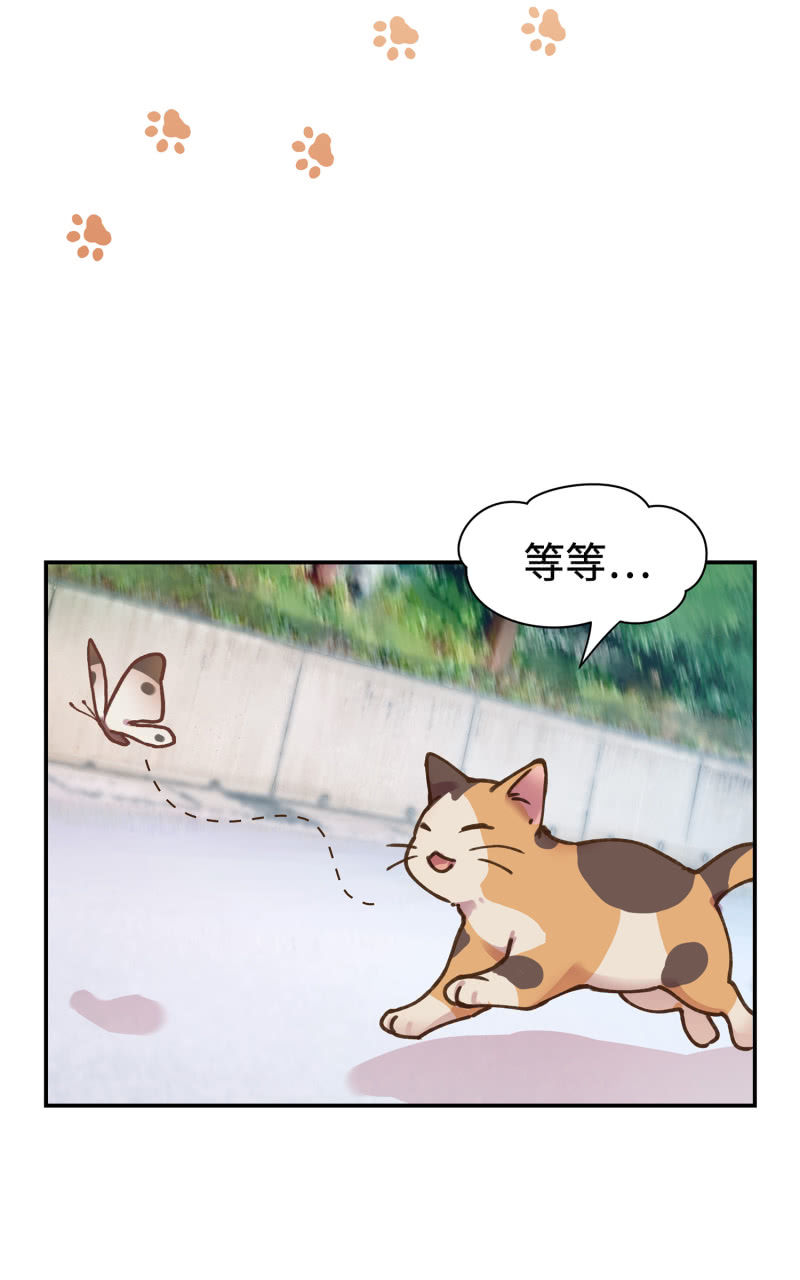 第38杯『小米米大冒险』-第44话