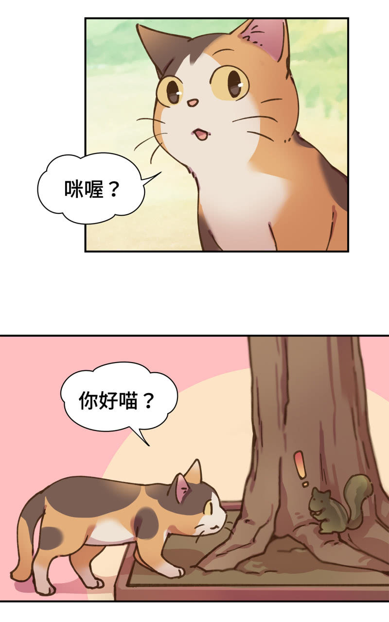 第38杯『小米米大冒险』-第44话