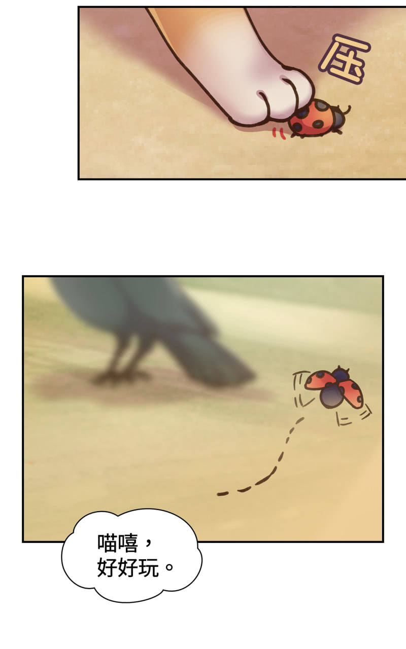 第38杯『小米米大冒险』-第44话