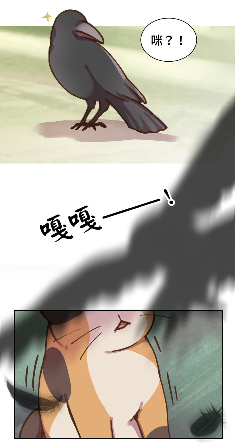 第38杯『小米米大冒险』-第44话