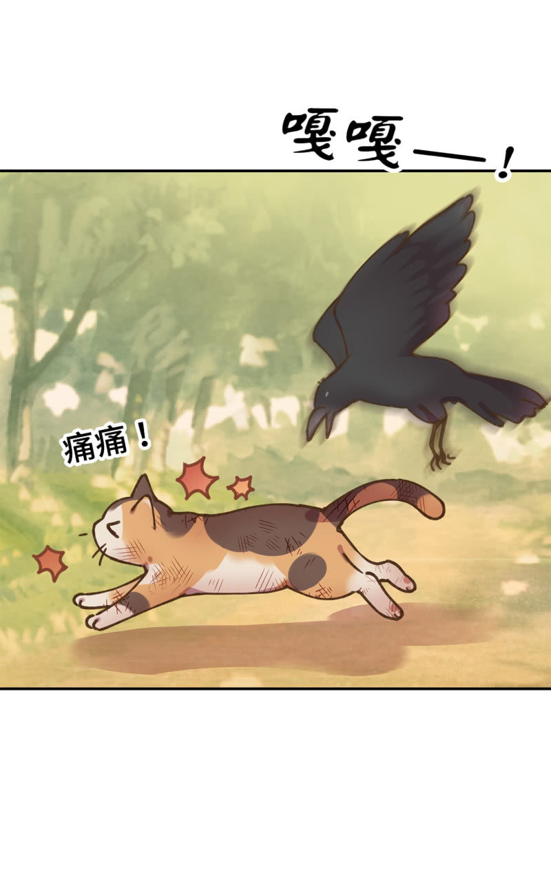 第38杯『小米米大冒险』-第44话