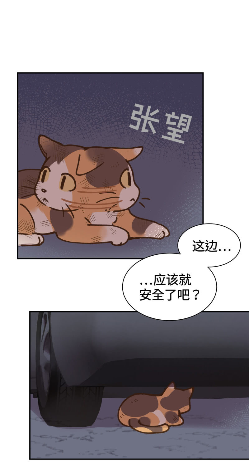 第38杯『小米米大冒险』-第44话