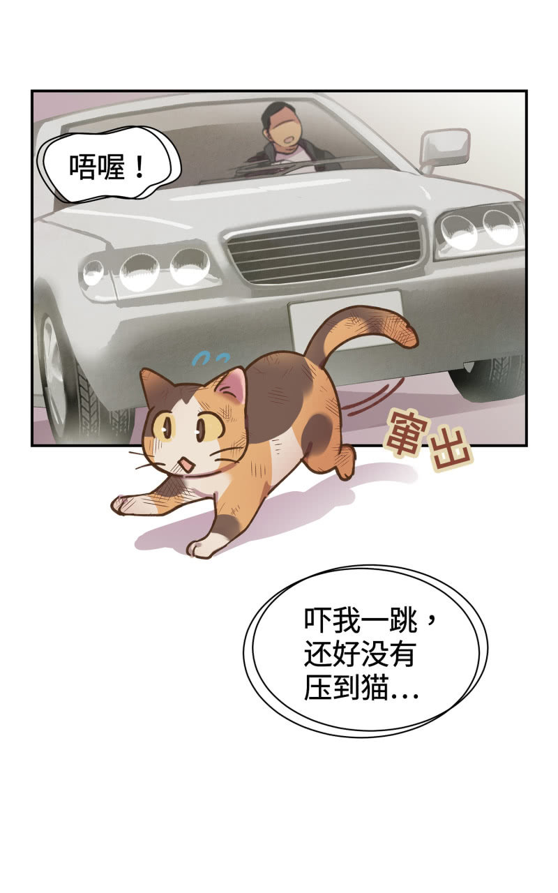 第38杯『小米米大冒险』-第44话