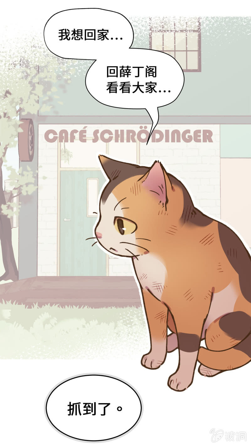 第40杯『掌心的温度』(1/2)-第46话