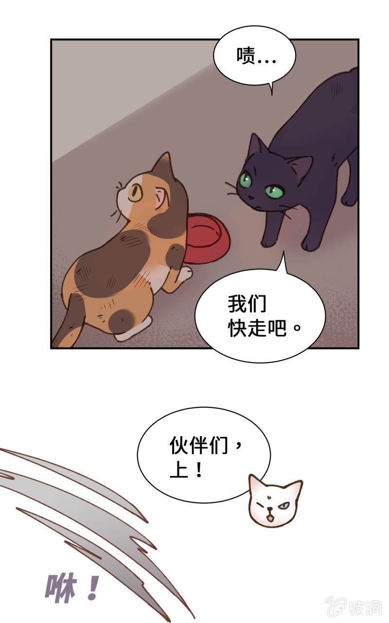 第40杯『掌心的温度』(1/2)-第46话