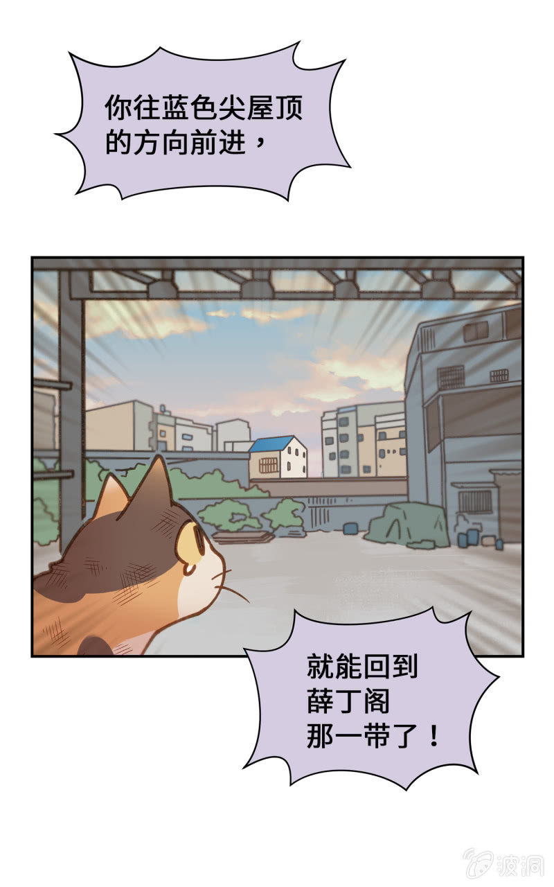 第40杯『掌心的温度』(1/2)-第46话