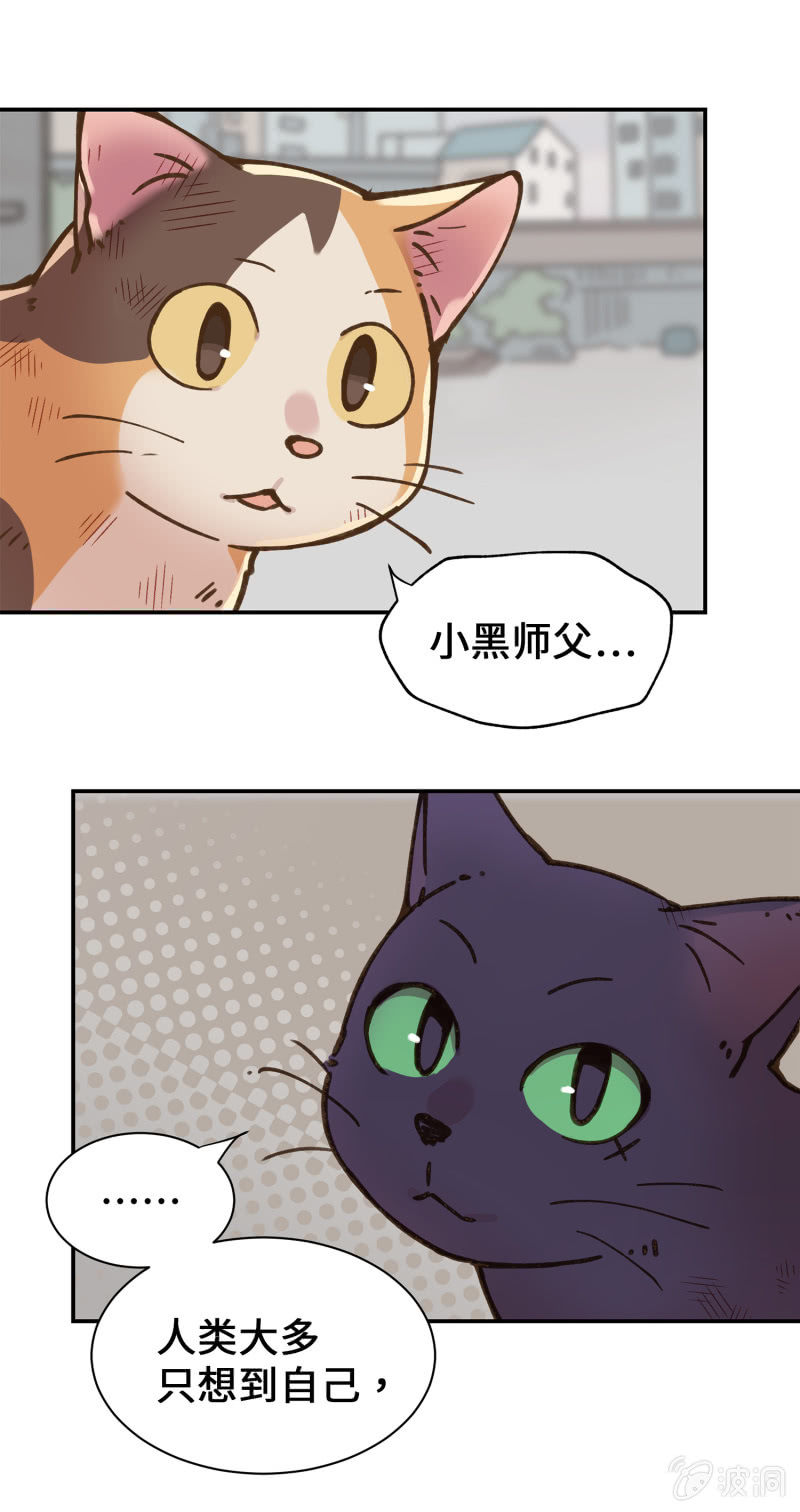 第40杯『掌心的温度』(1/2)-第46话