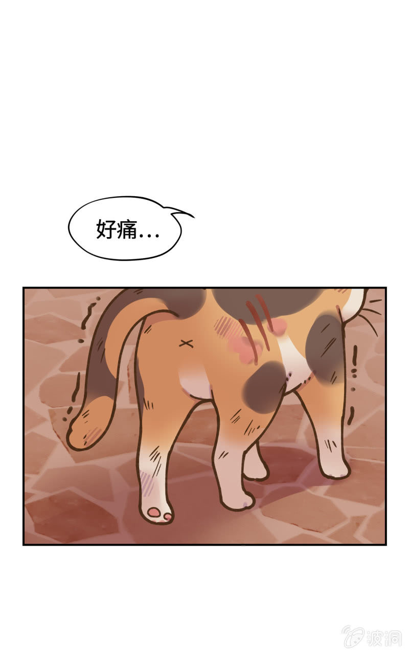 第40杯『掌心的温度』(1/2)-第46话