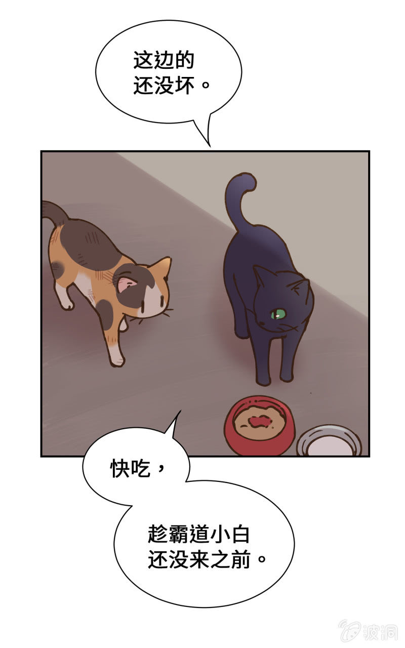 第40杯『掌心的温度』(1/2)-第46话