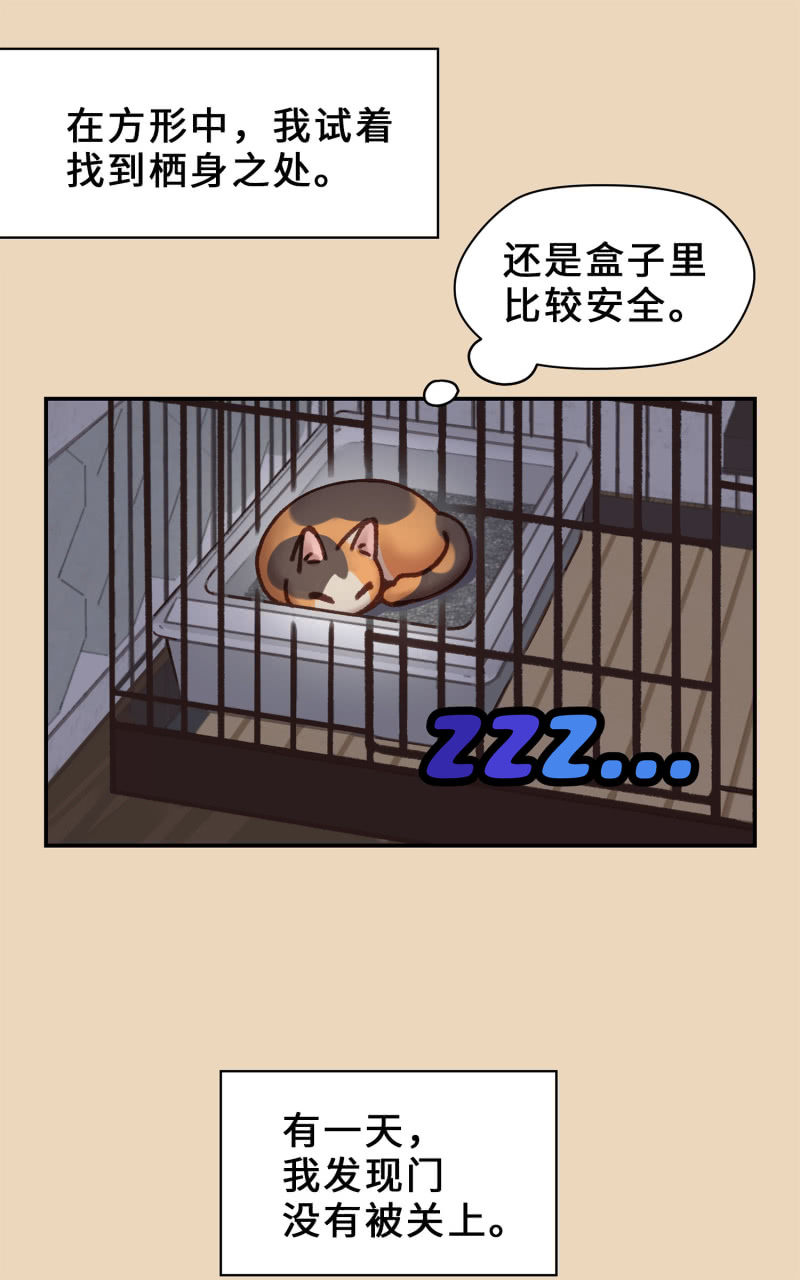 第4杯『社会新鲜喵！』-第6话