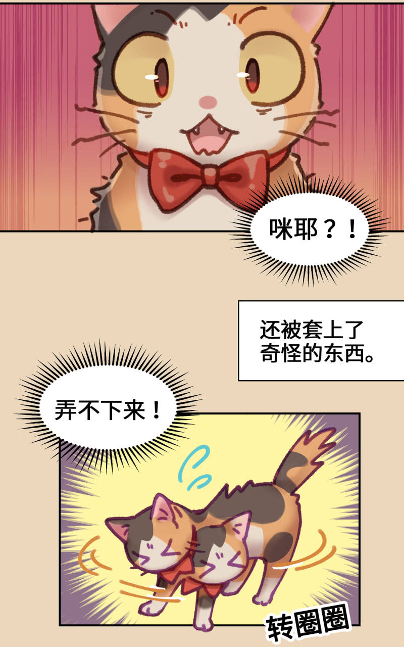 第4杯『社会新鲜喵！』-第6话