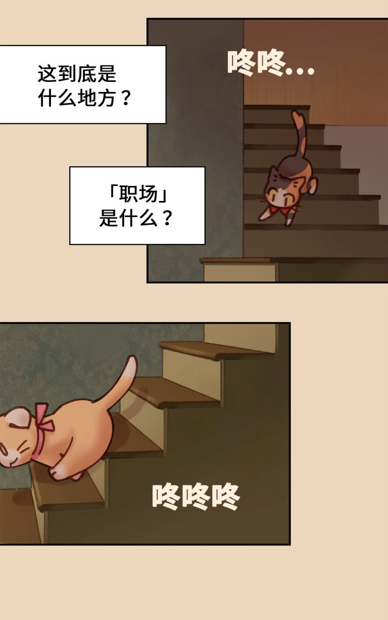 第4杯『社会新鲜喵！』-第6话