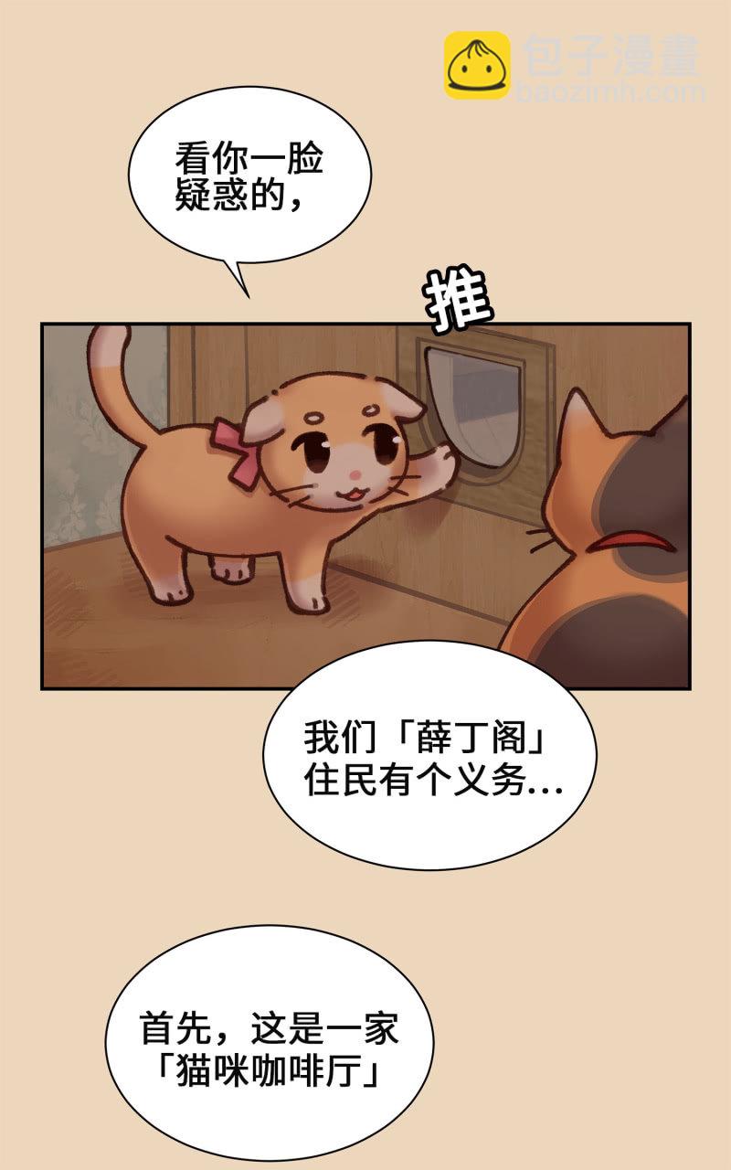 第4杯『社会新鲜喵！』-第6话