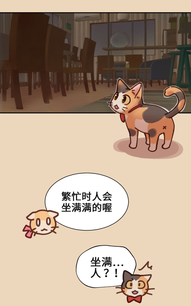 第4杯『社会新鲜喵！』-第6话