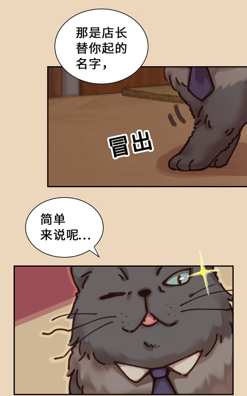 第4杯『社会新鲜喵！』-第6话