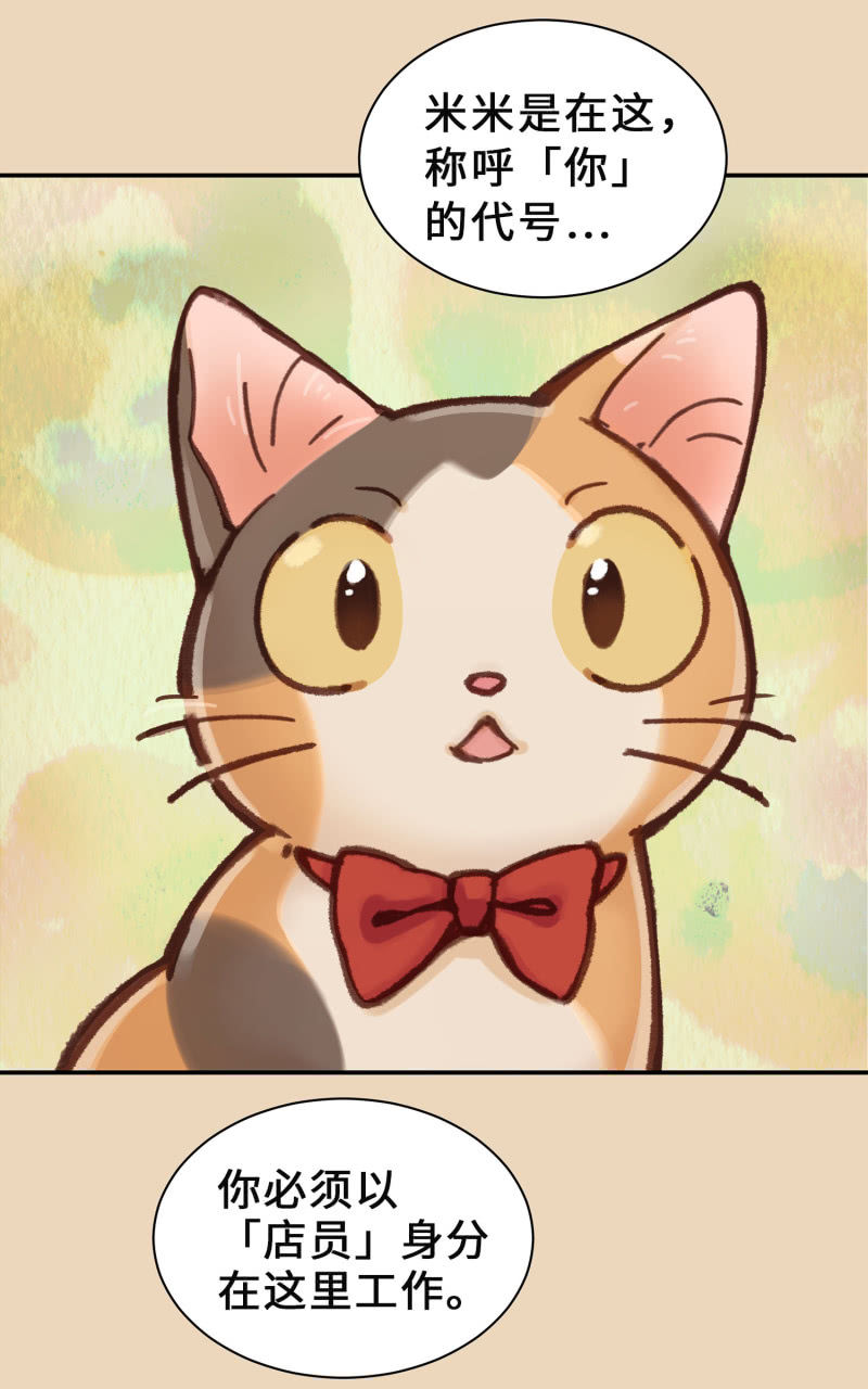 第4杯『社会新鲜喵！』-第6话