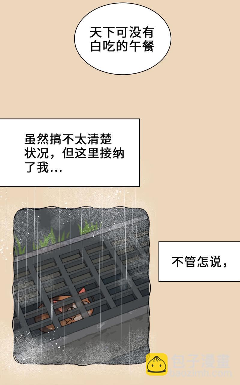 第4杯『社会新鲜喵！』-第6话