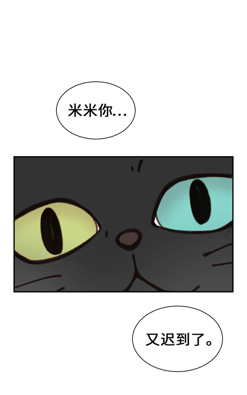 第4杯『社会新鲜喵！』-第6话