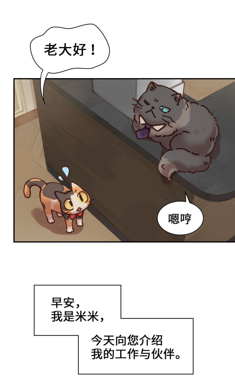 第4杯『社会新鲜喵！』-第6话