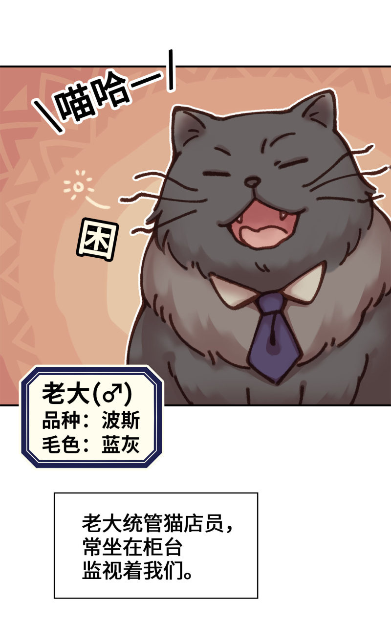 第4杯『社会新鲜喵！』-第6话