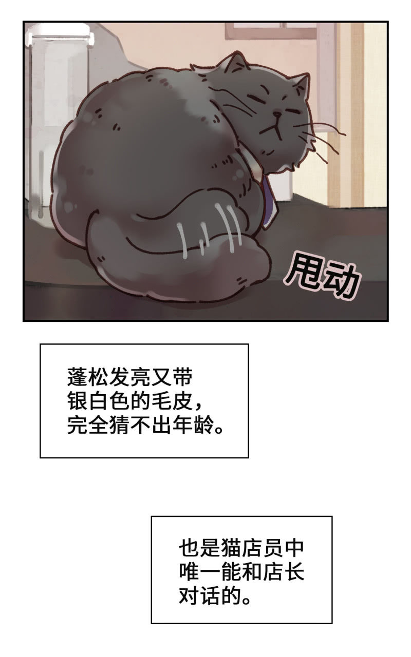 第4杯『社会新鲜喵！』-第6话