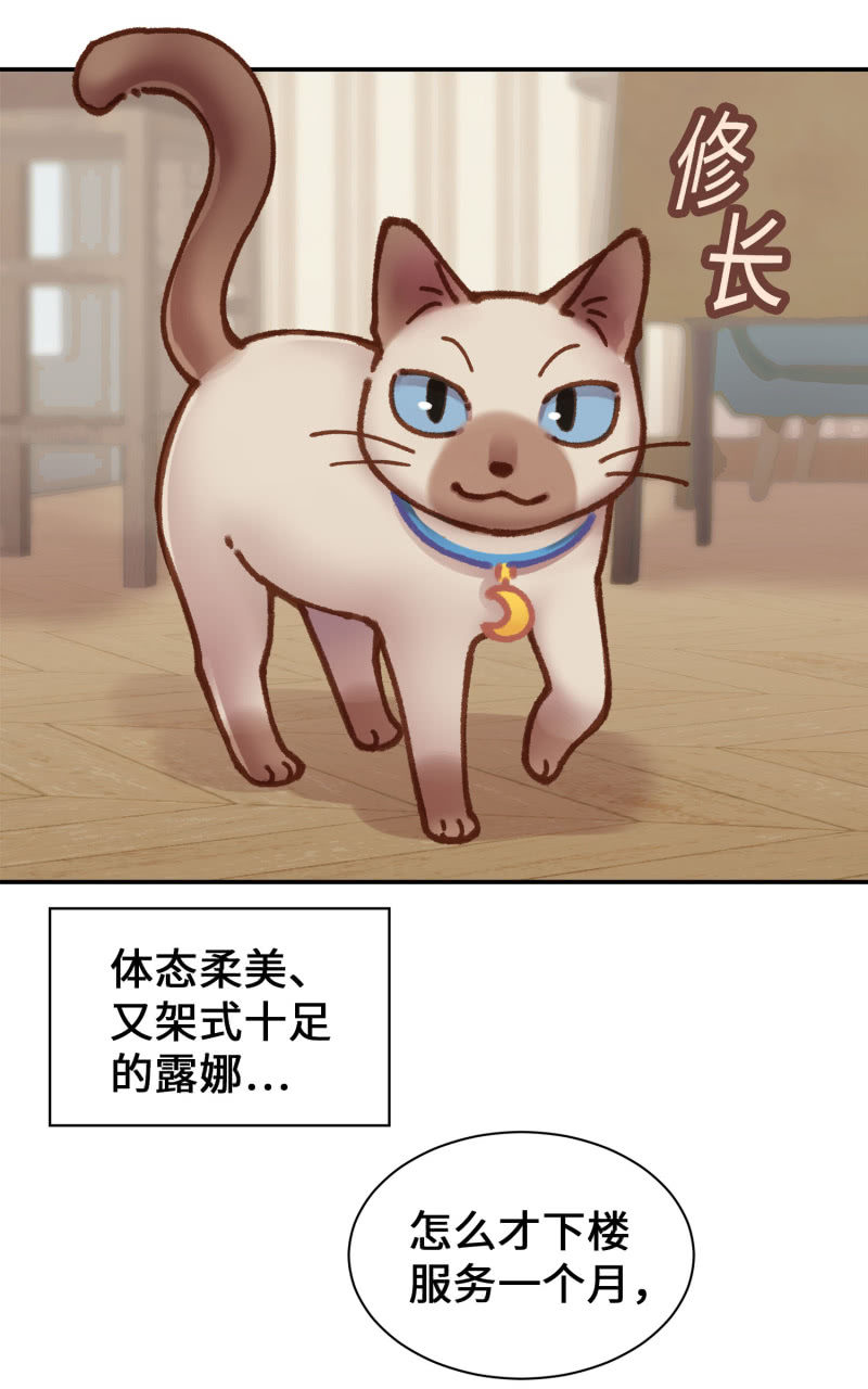 第4杯『社会新鲜喵！』-第6话