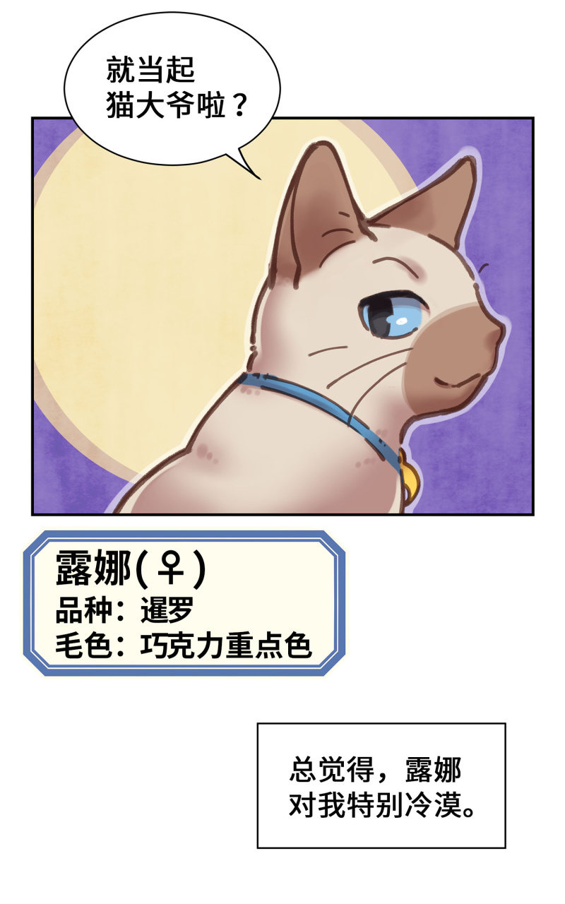 第4杯『社会新鲜喵！』-第6话