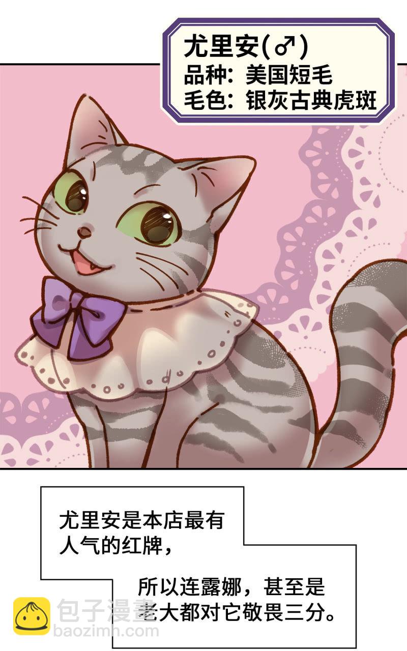 第4杯『社会新鲜喵！』-第6话