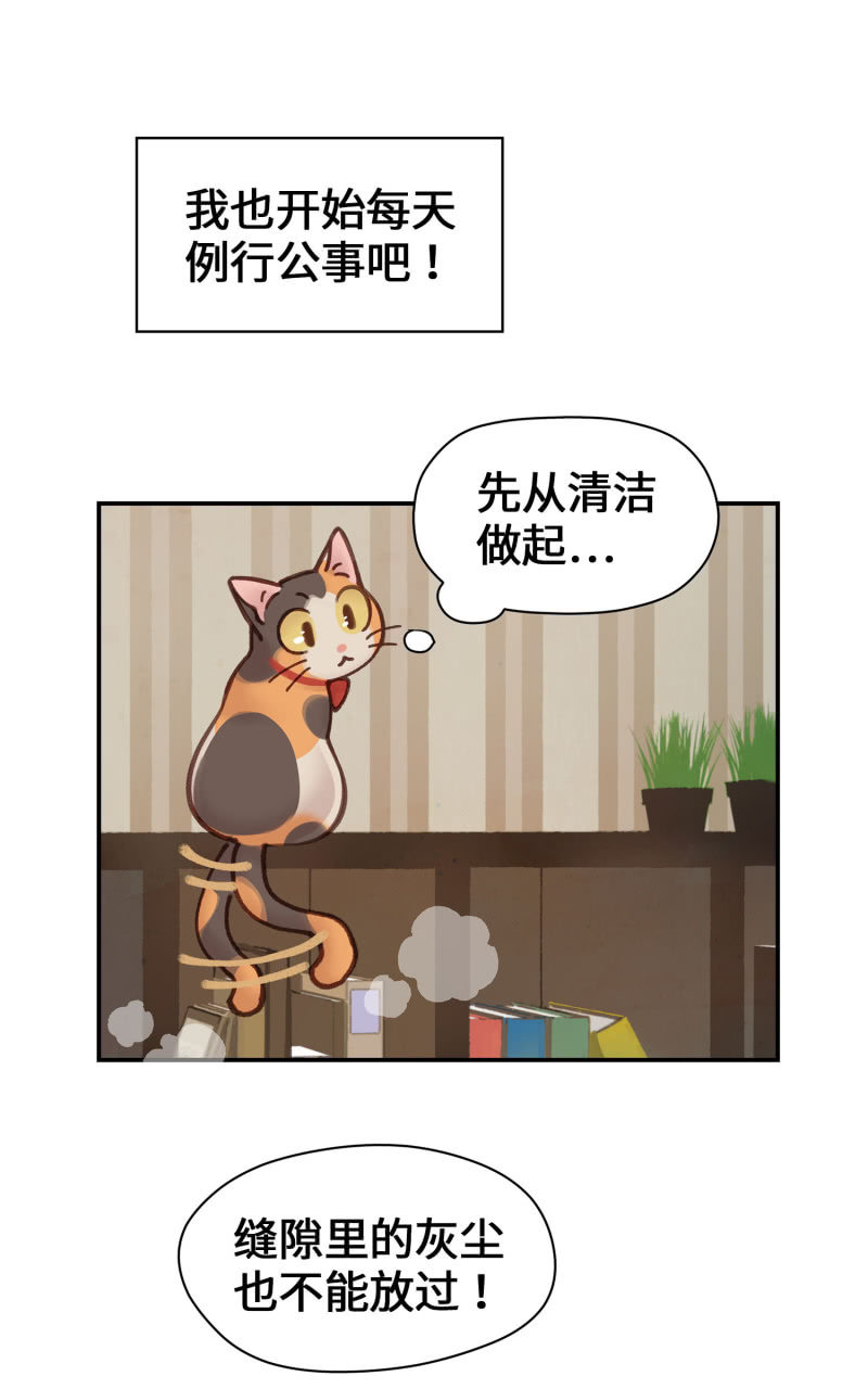 第4杯『社会新鲜喵！』-第6话