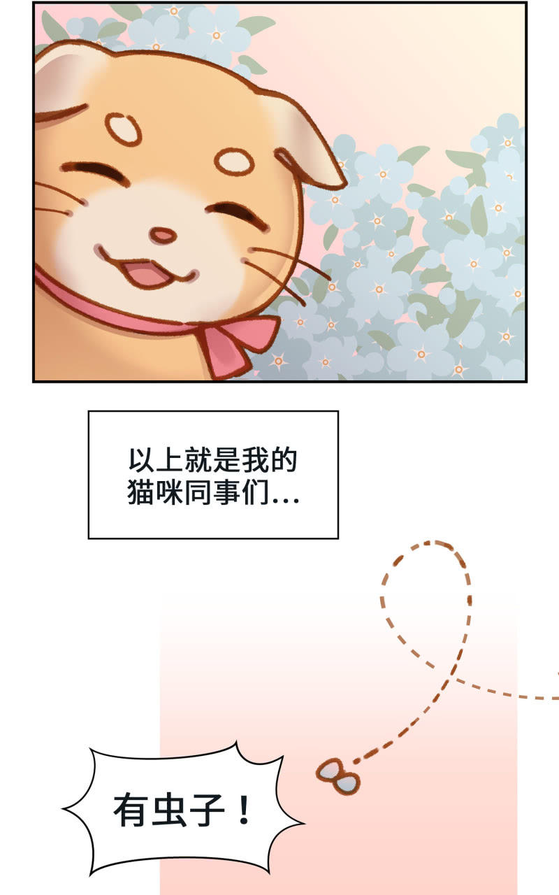 第4杯『社会新鲜喵！』-第6话