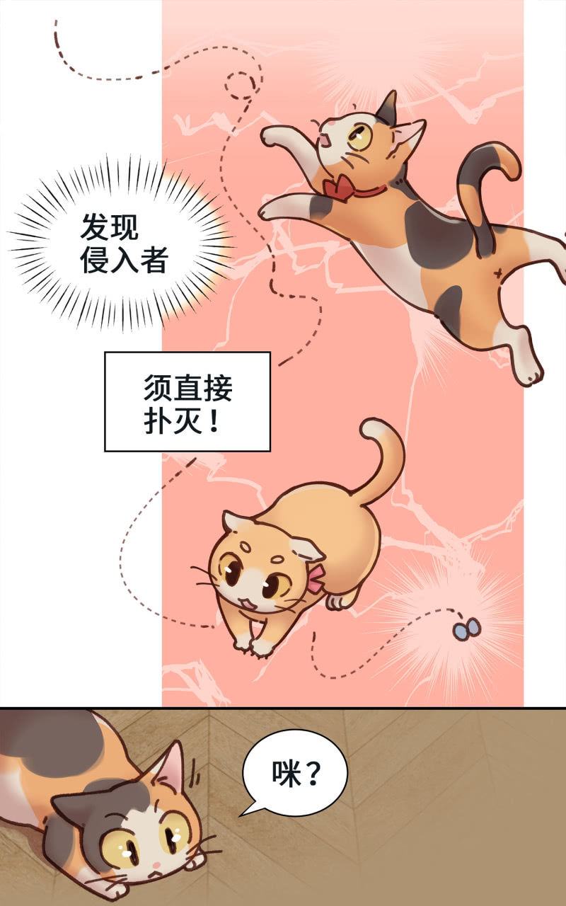 第4杯『社会新鲜喵！』-第6话