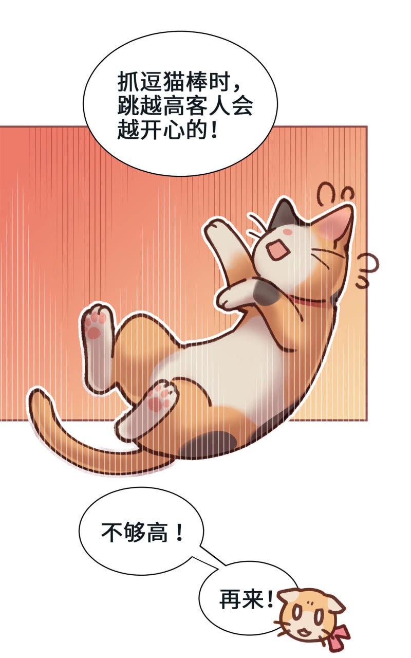 第4杯『社会新鲜喵！』-第6话