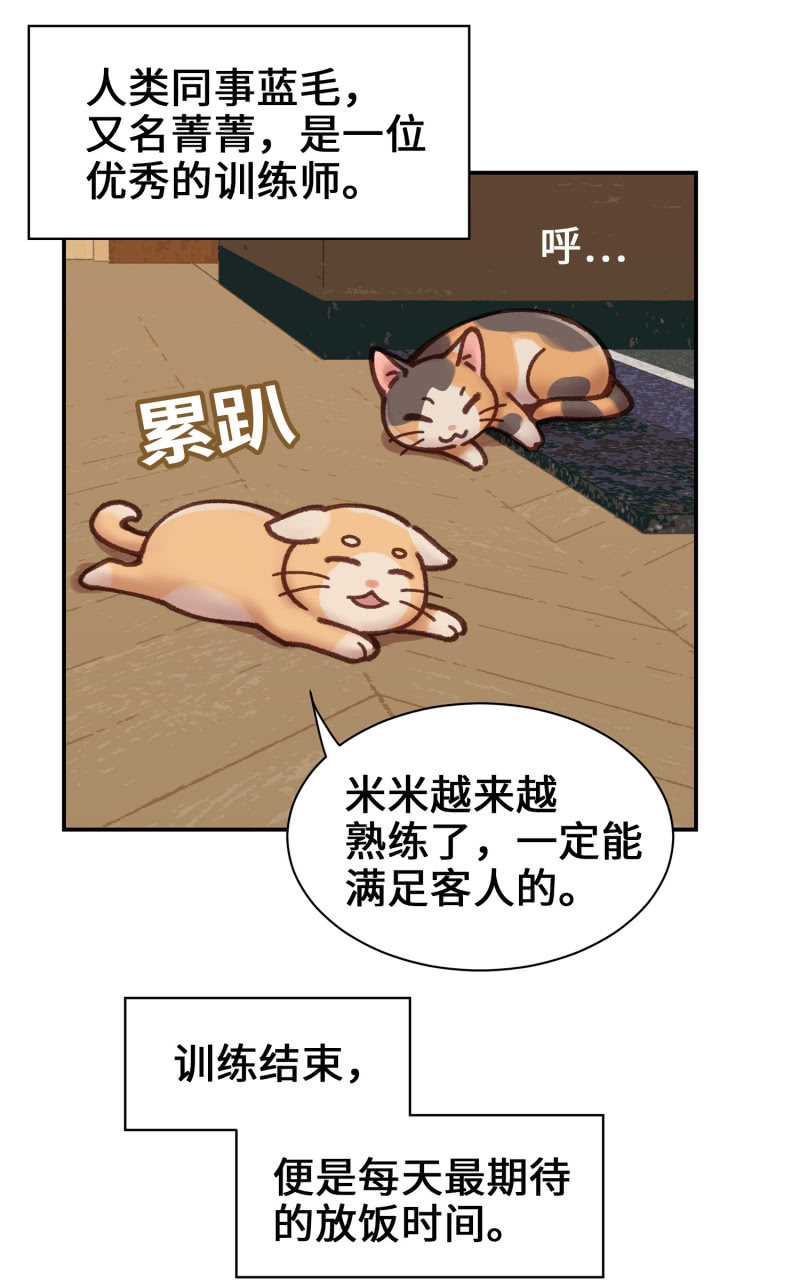 第4杯『社会新鲜喵！』-第6话