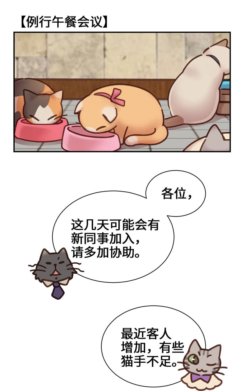 第4杯『社会新鲜喵！』-第6话