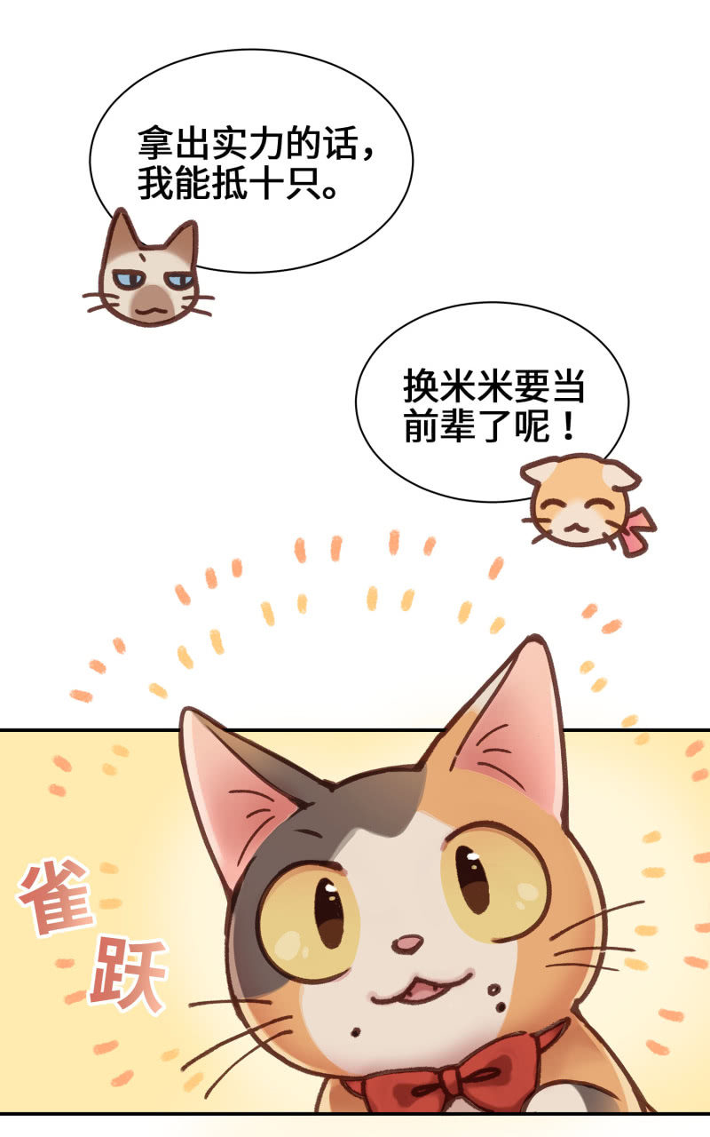 第4杯『社会新鲜喵！』-第6话