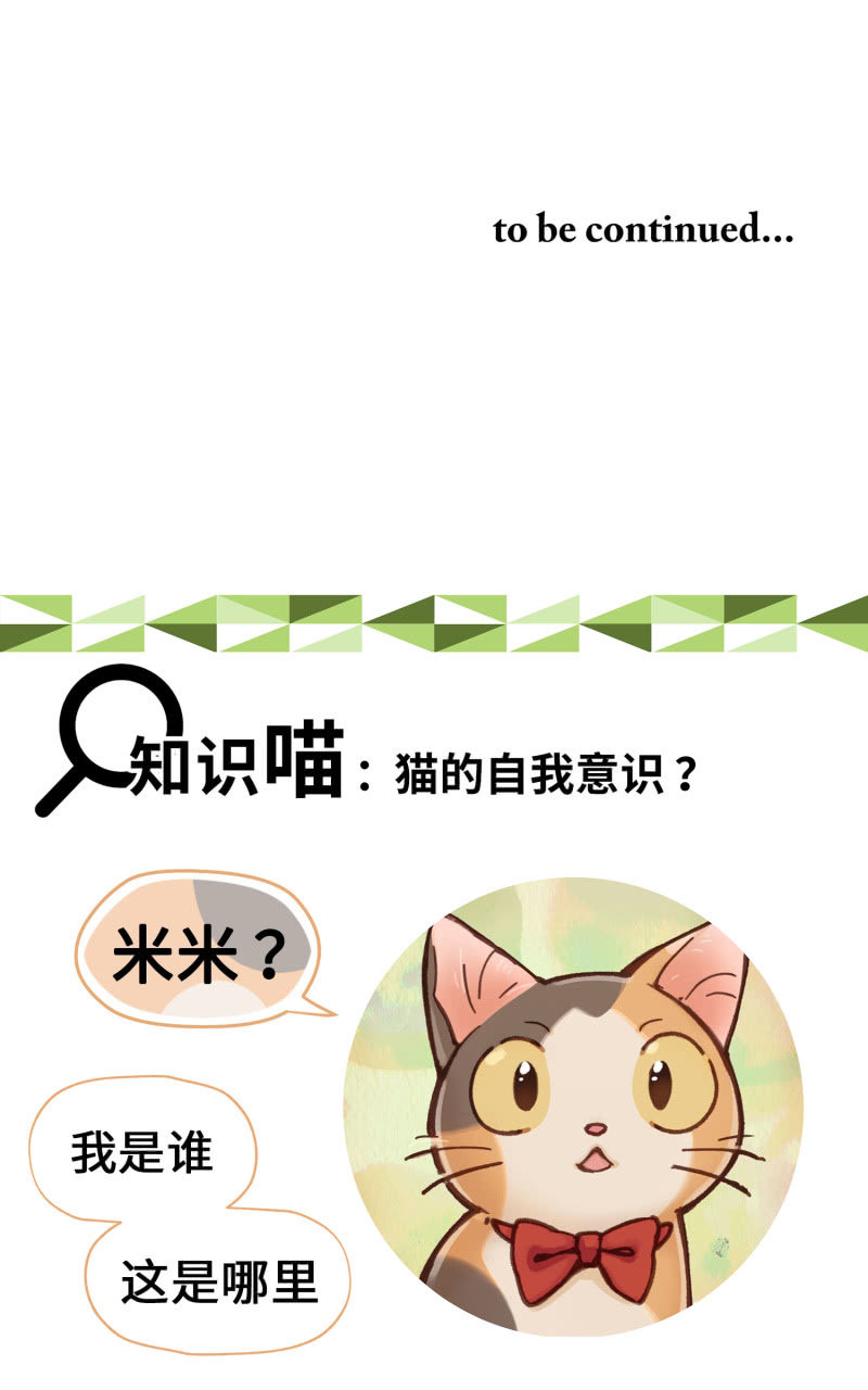 第4杯『社会新鲜喵！』-第6话