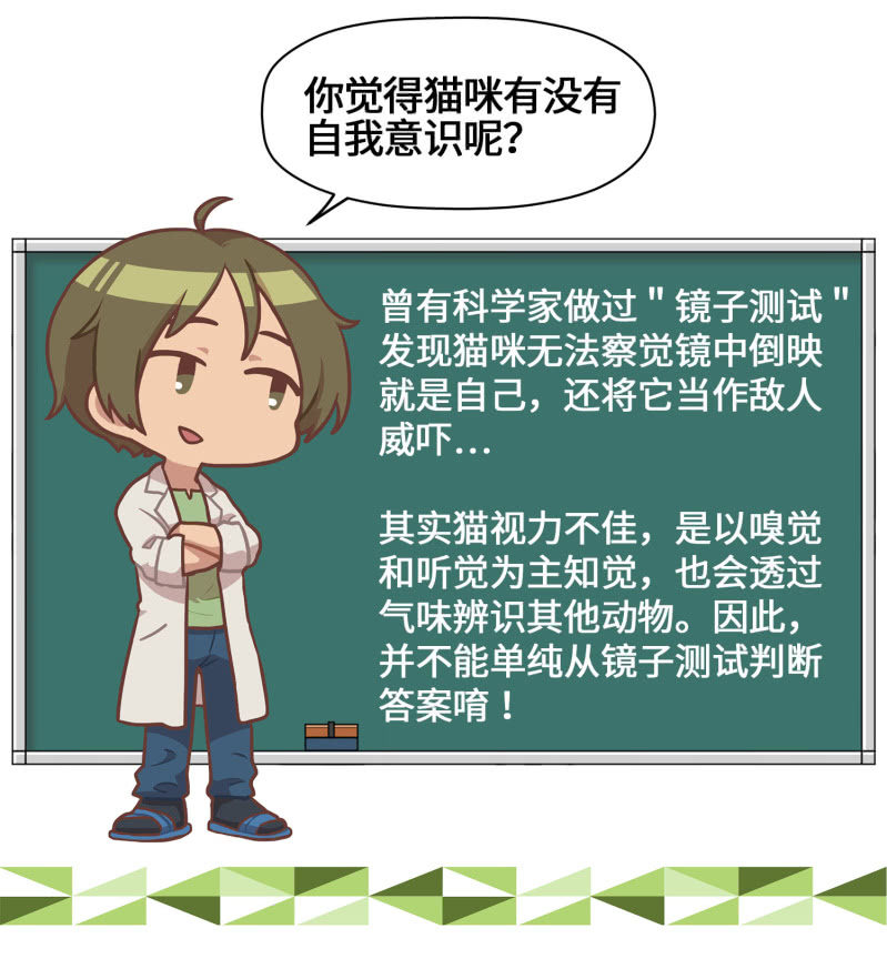 第4杯『社会新鲜喵！』-第6话