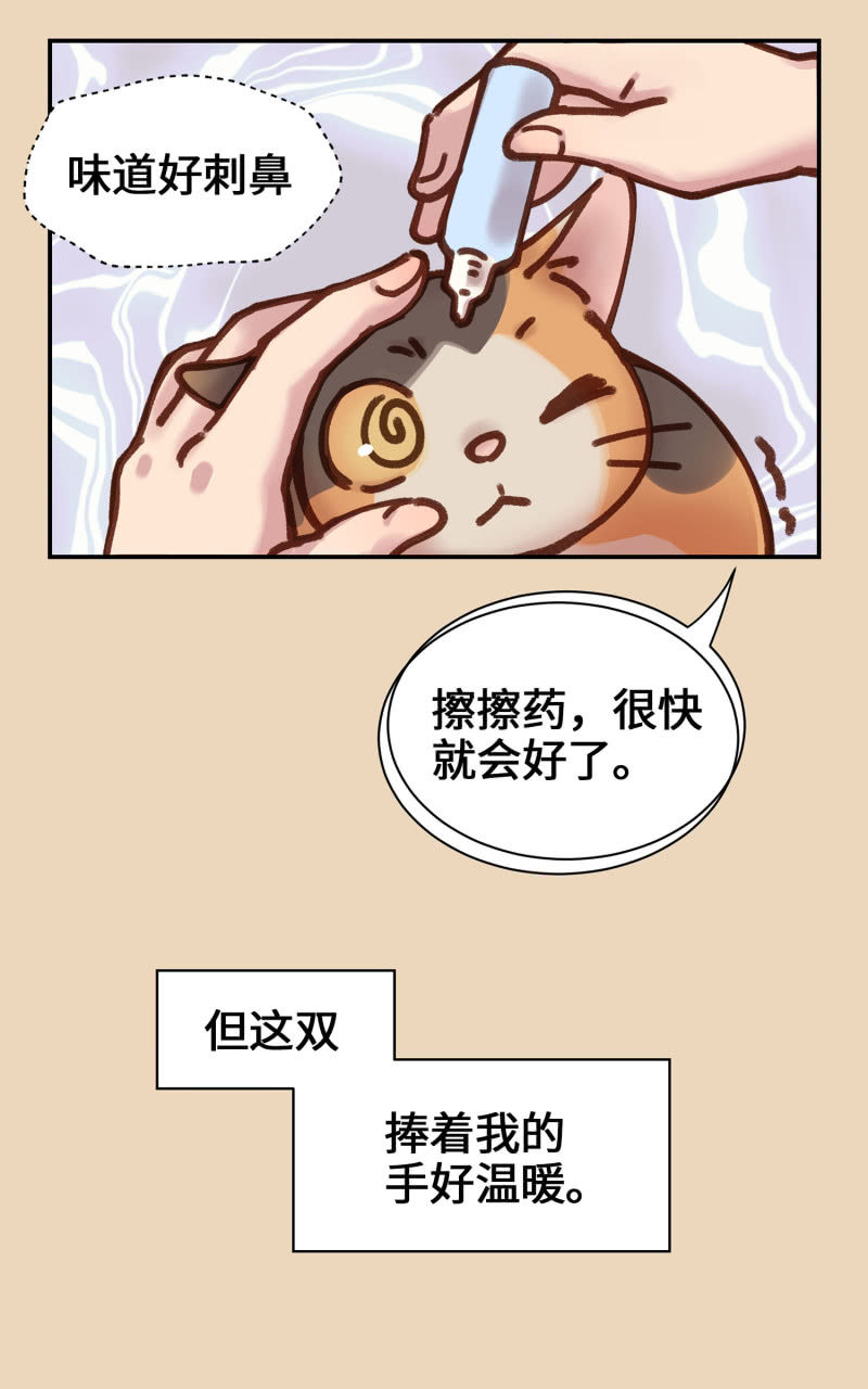 第4杯『社会新鲜喵！』-第6话