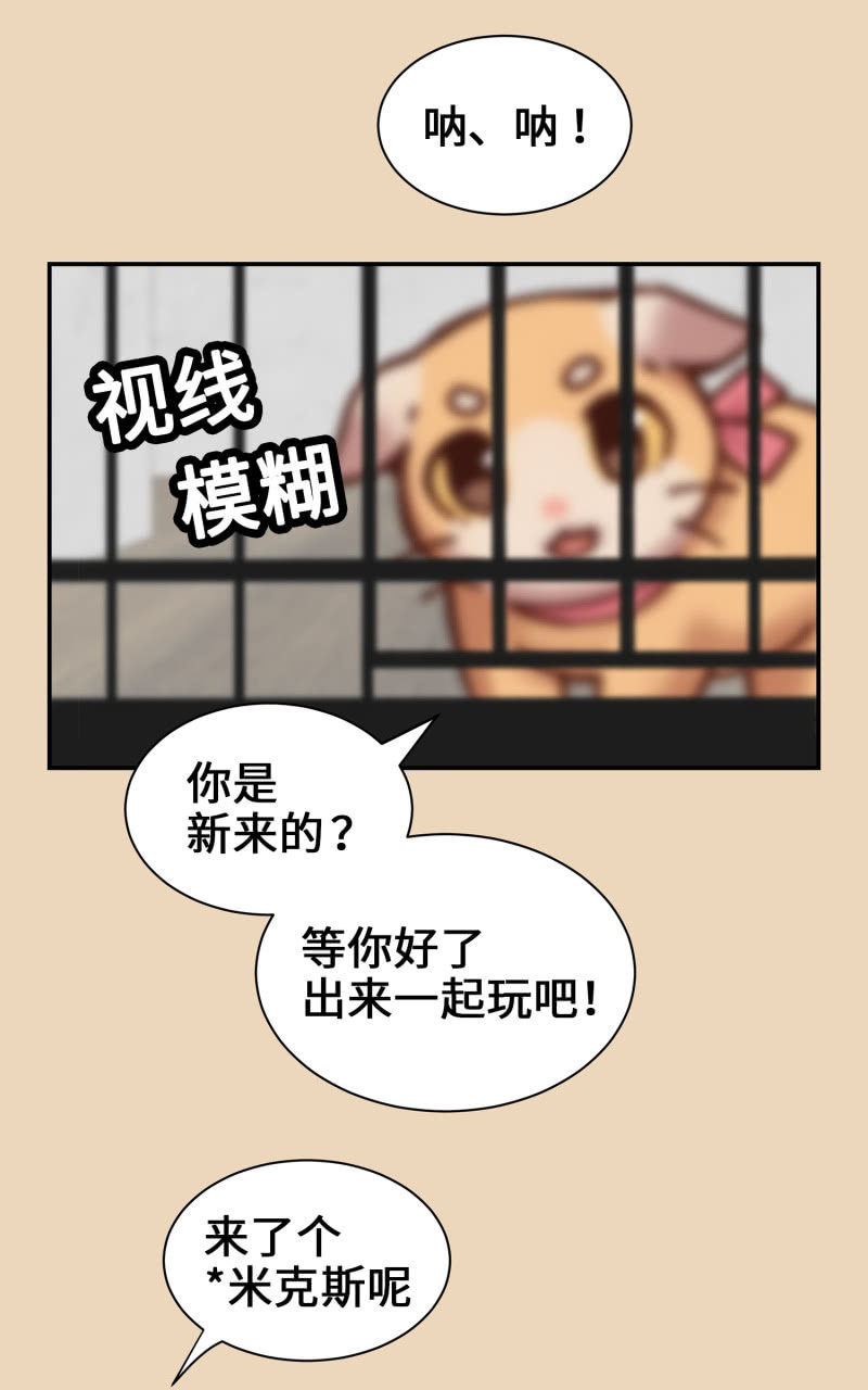 第4杯『社会新鲜喵！』-第6话