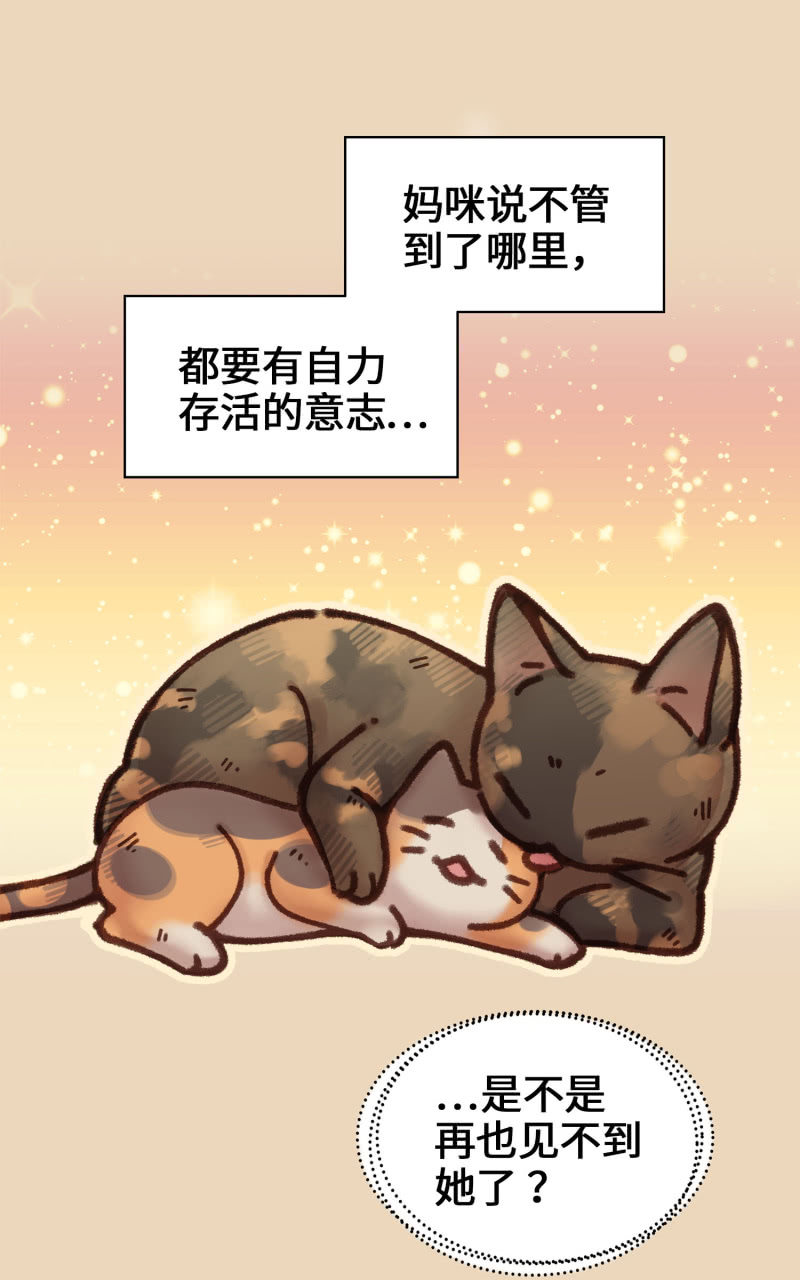 第4杯『社会新鲜喵！』-第6话