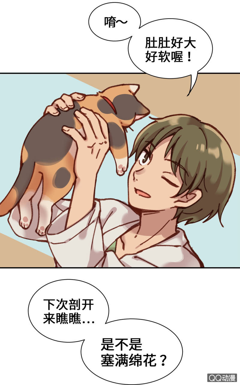 第6杯『疯狂科学家』-第8话