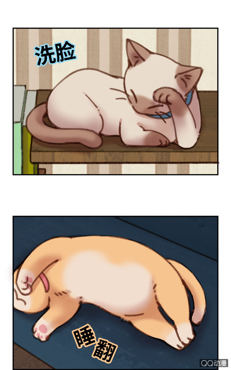 第6杯『疯狂科学家』-第8话