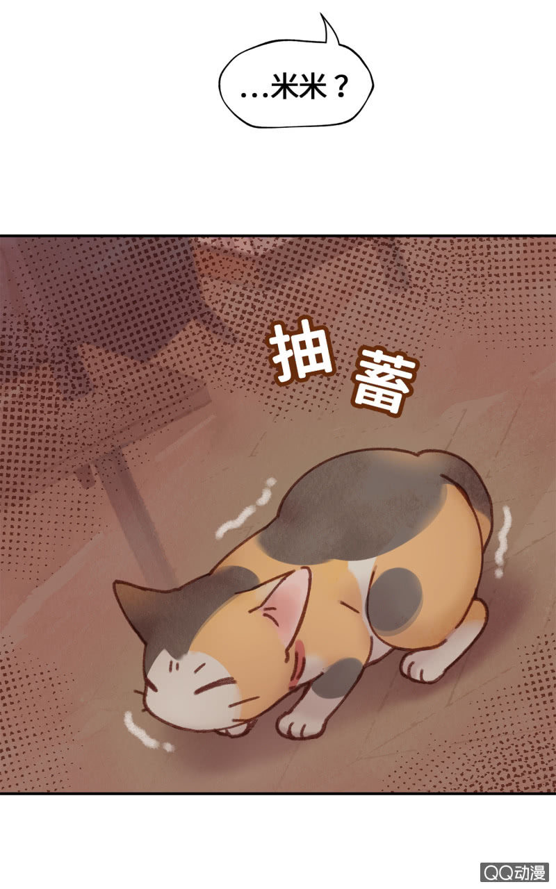 第6杯『疯狂科学家』-第8话