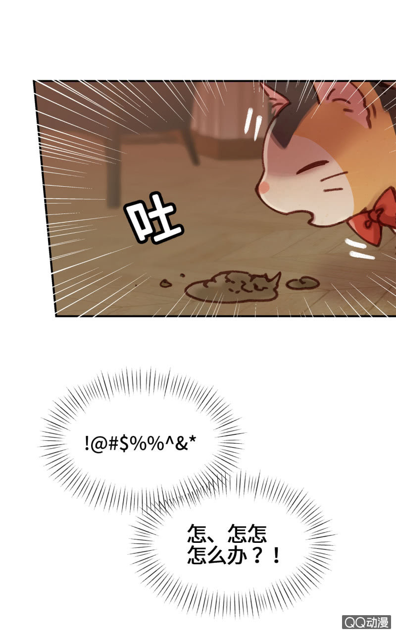 第6杯『疯狂科学家』-第8话