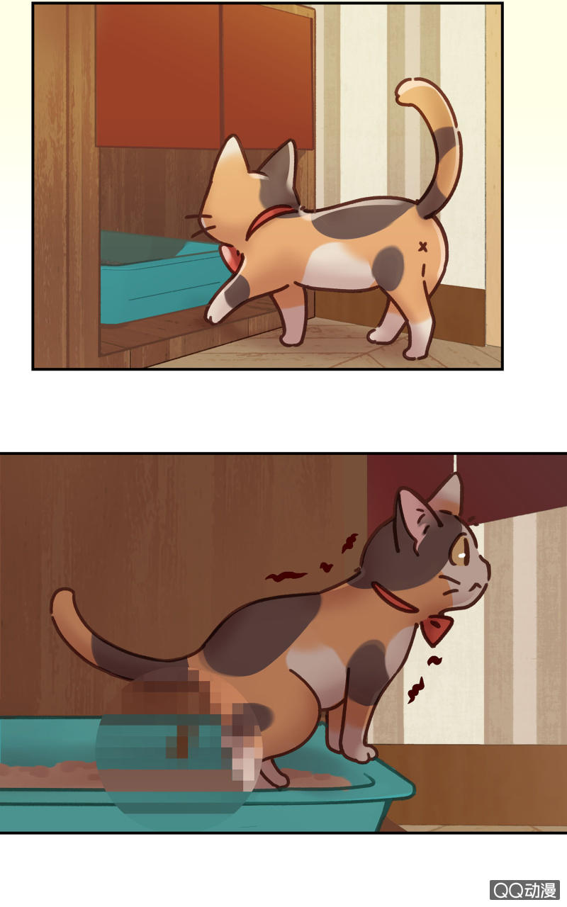 第8杯『果然是怪咖』-第10话