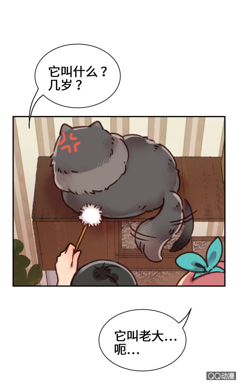 第8杯『果然是怪咖』-第10话