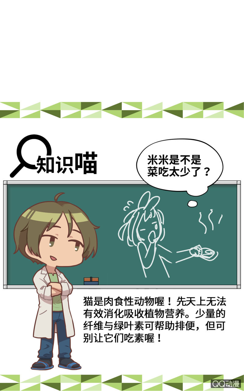 第8杯『果然是怪咖』-第10话