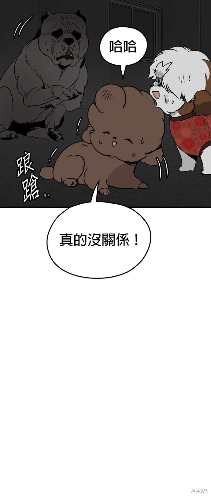 狗狗末日生存法 - 第37話(1/2) - 8